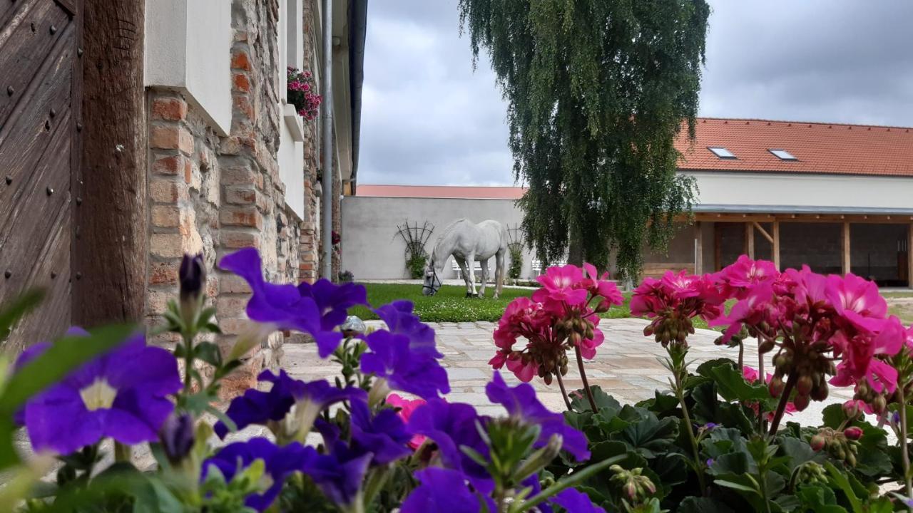 Aparthotel Korn-Hof Kornatice Exterior foto
